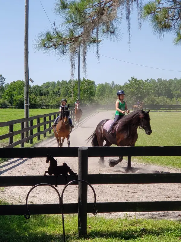 Avalon Stables, photo 2