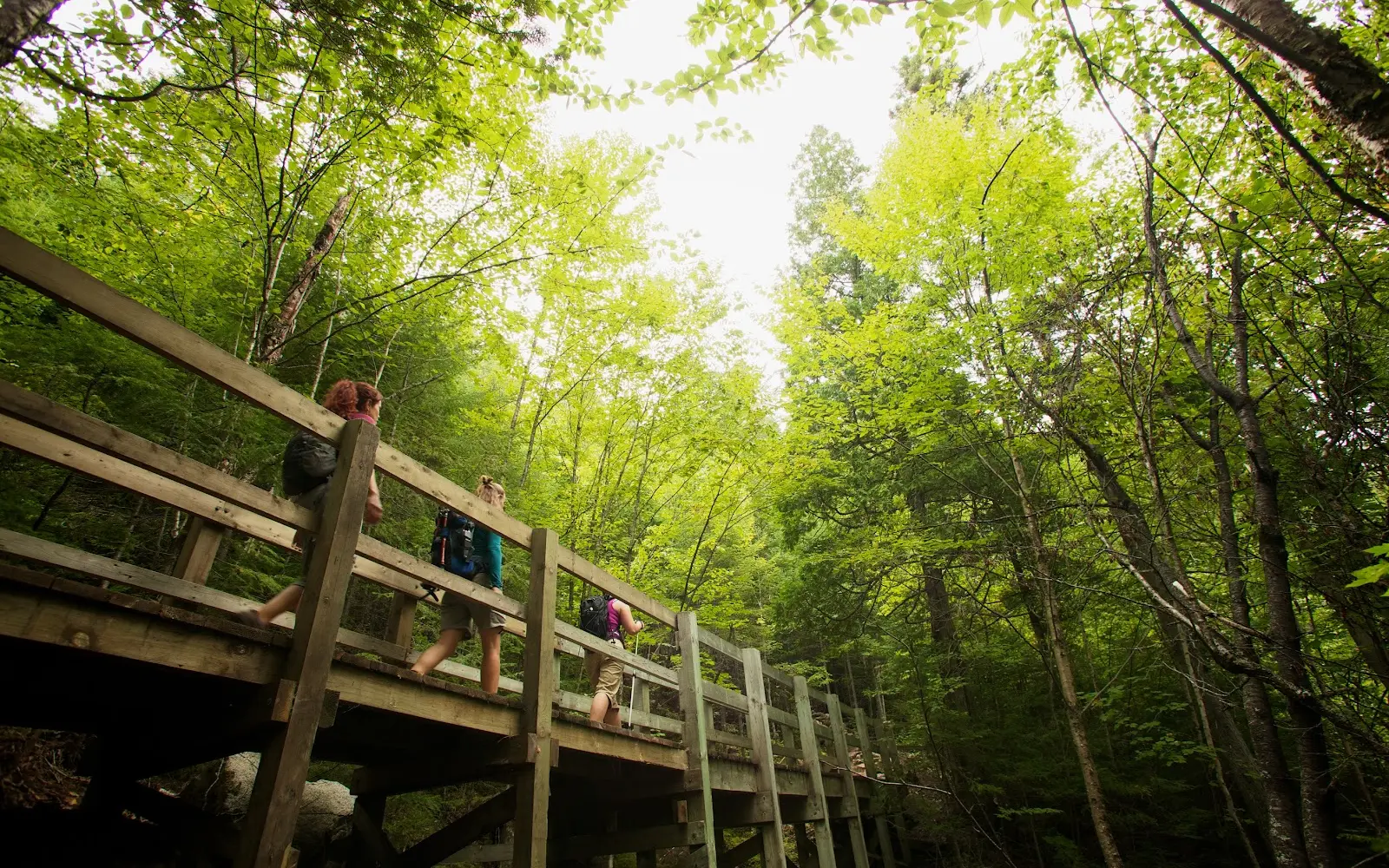 Aventure Écotourisme Québec
