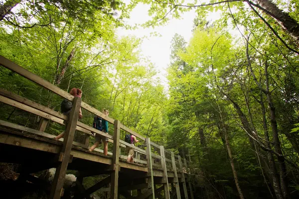 Aventure Écotourisme Québec