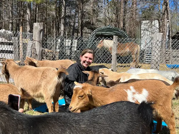 Avery Family Farm, Durham, NC
