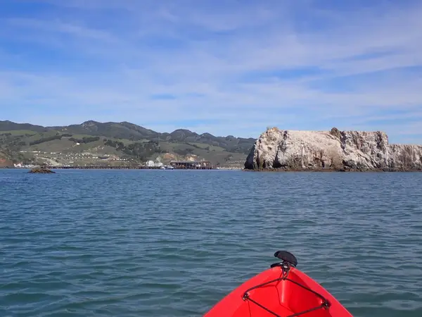 Avila Beach Paddlesports, photo 4