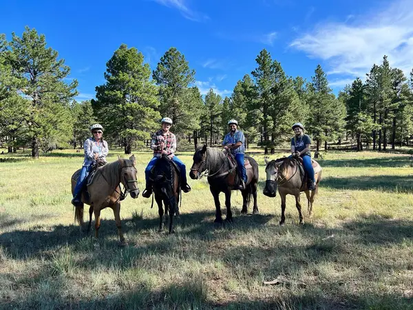 AZ High Mountain Trail Rides, photo 1