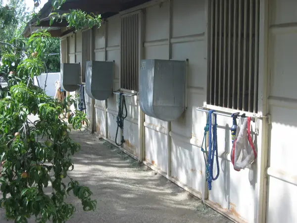 B Bar J Equestrian Training Centre