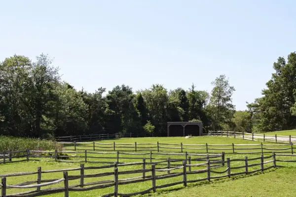 Back Bay Farm