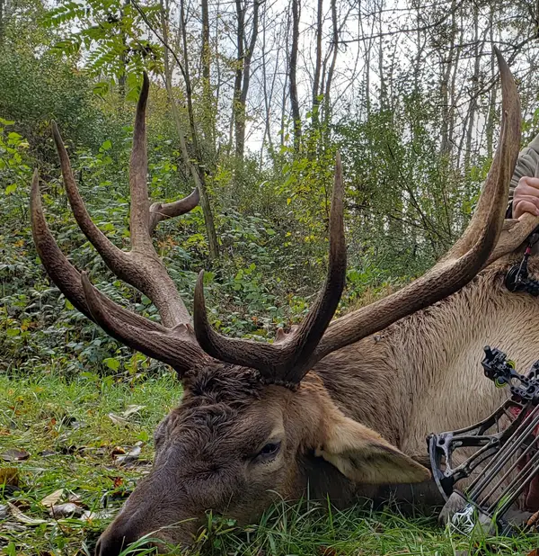Backwoods Preserve Whitetails