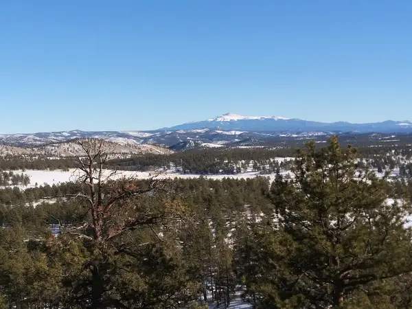 Badger Flats Vicinity OHV Trails (Tarryall Reservoir)
