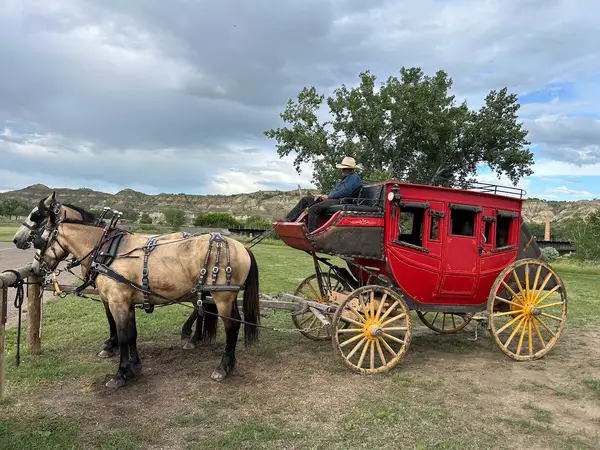 Badlands Express Stagecoach and Pony Rides LLC