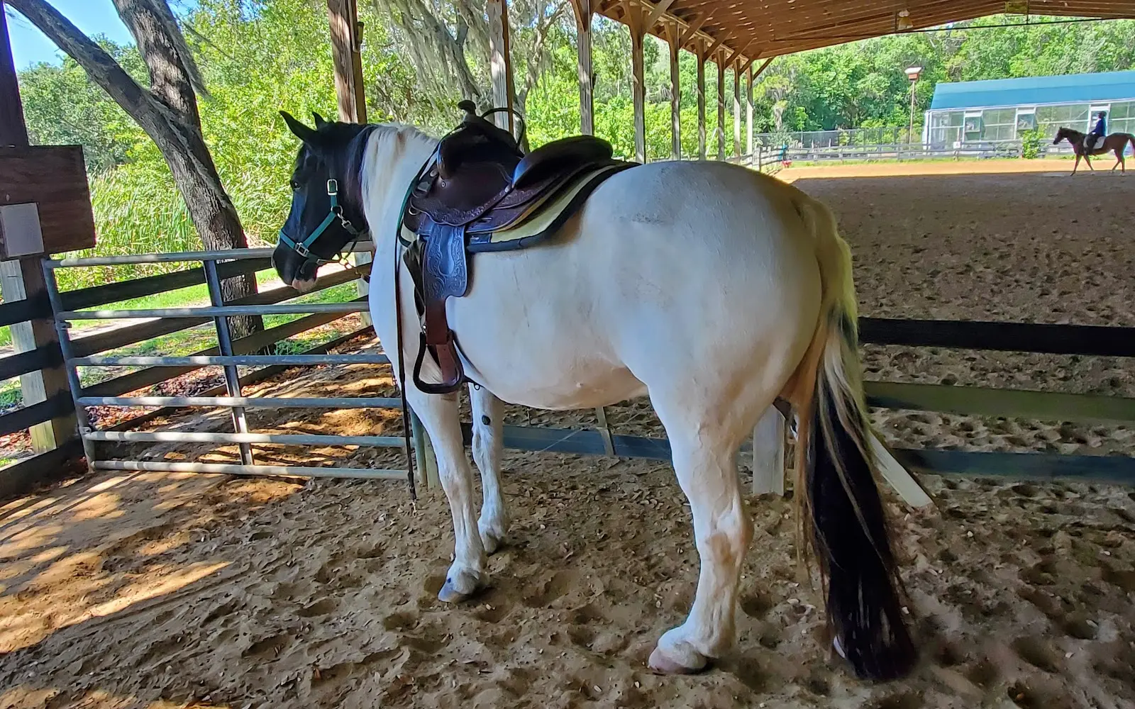 Bakas Equestrian Center
