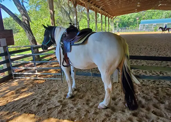 Bakas Equestrian Center