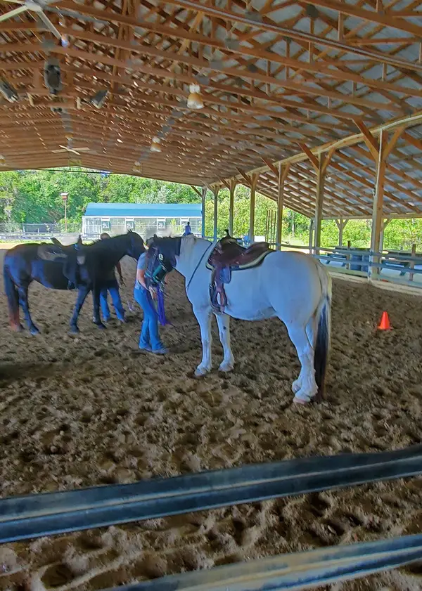 Bakas Equestrian Center, photo 3