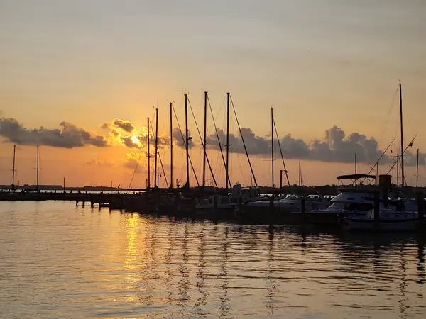 Bal Harbor Marina