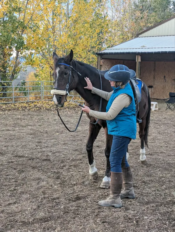 Balanced Equine Sports LLC