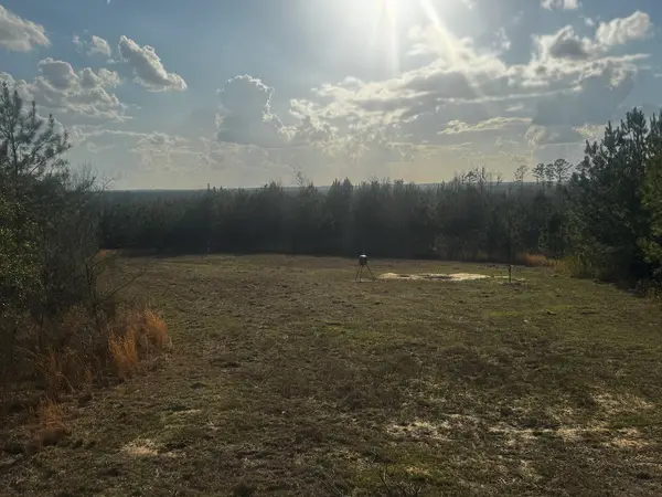Bald Cypress Outfitters