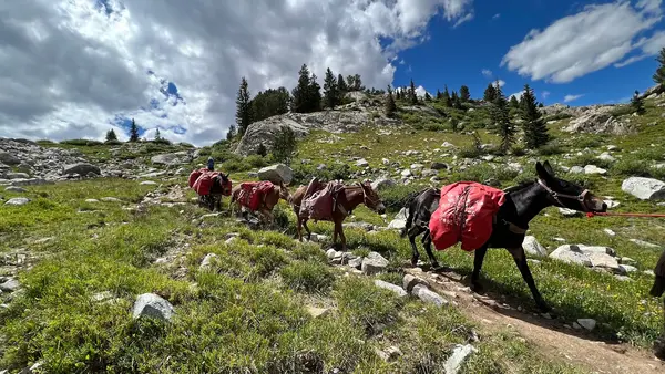 Bald Mountain Outfitters