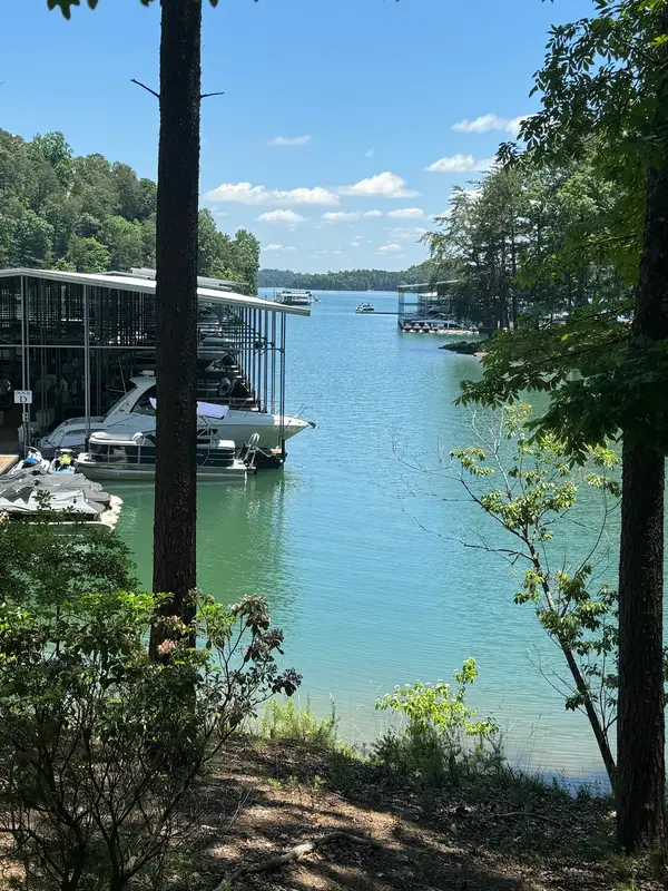 Bald Ridge Marina