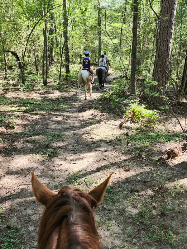 Banshee Ranch, photo 4