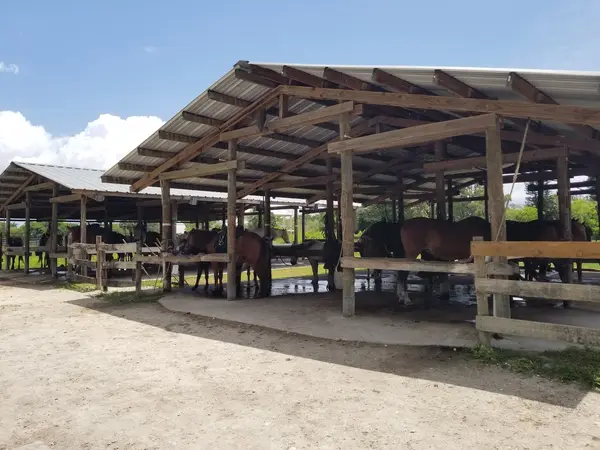 Bar-B-Ranch, photo 4