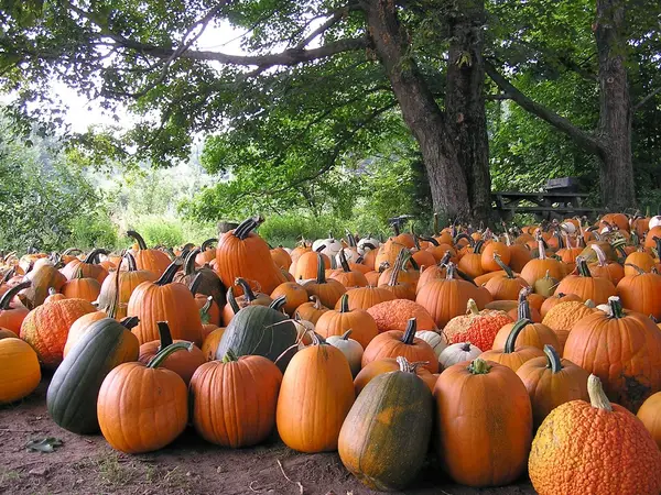 Barden Family Orchard, North Scituate, RI