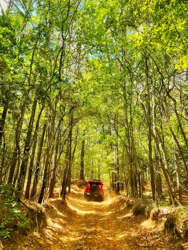 Barnwell Mountain Recreation Area