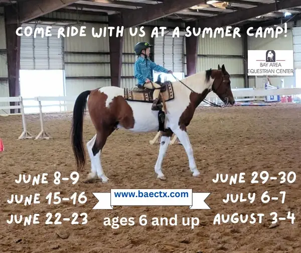 Bay Area Equestrian Center, photo 1