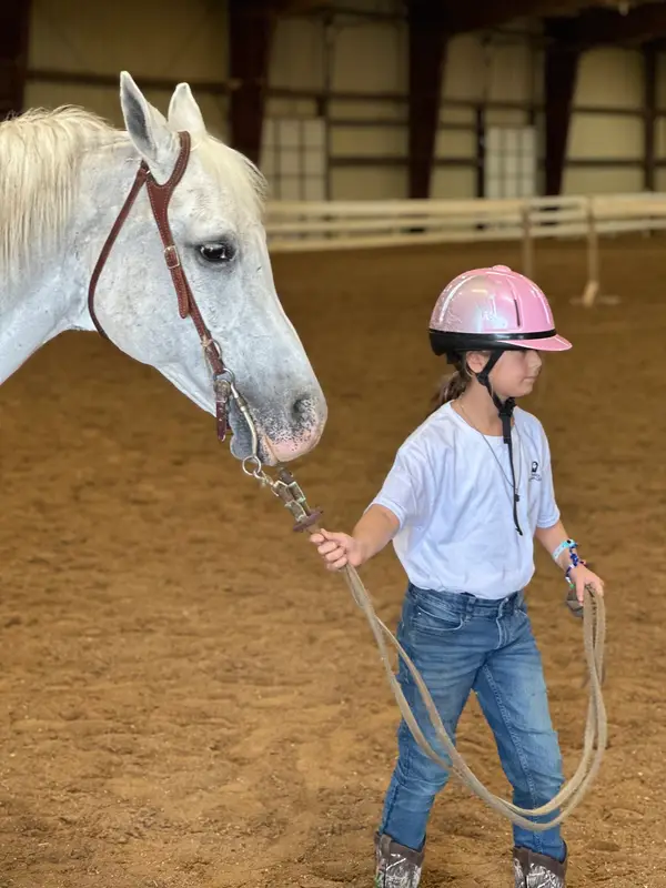 Bay Area Equestrian Center, photo 3