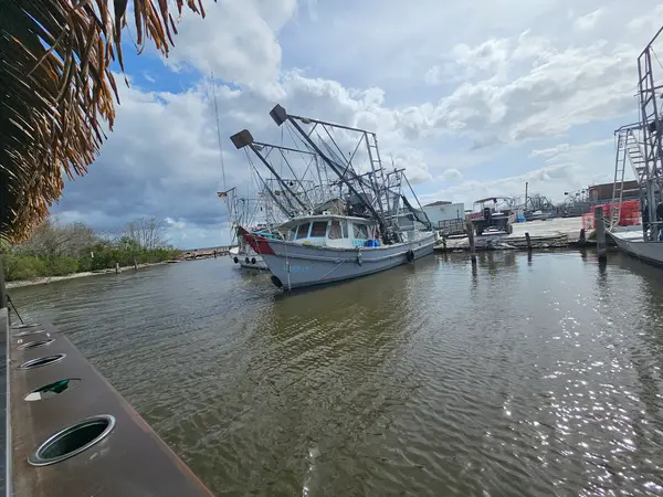 Bayou Bienvenue Marina