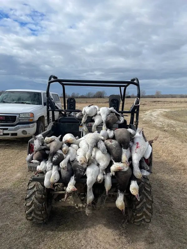 Bayou Bottoms Guide Service