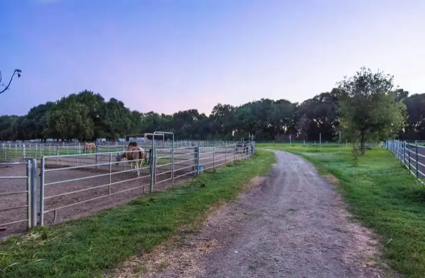 Beach Lake Stables