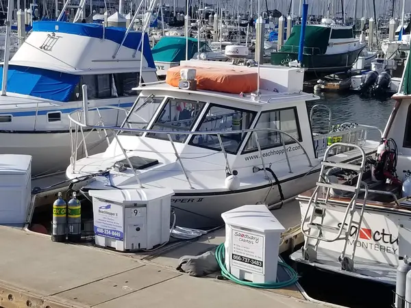 Beachhopper II Diving Charters