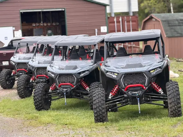 Bear Bogging Adventure Tours Warrens