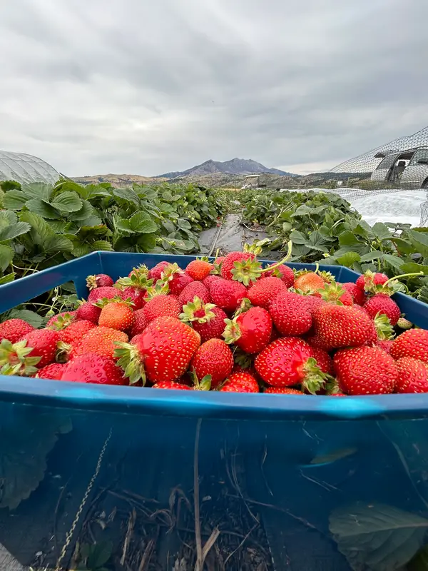 Bear Canyon Farm, Bozeman, MT