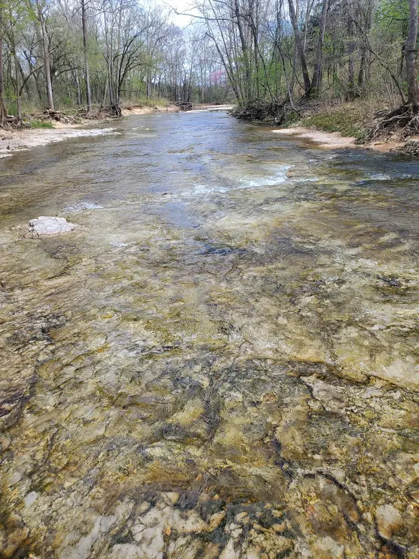 Bear Creek Trail Rides, Walnut Shade, MO