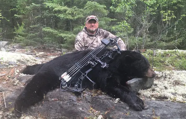 Bear Paw Landing, photo 1