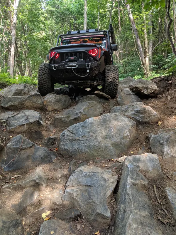 Beasley Knob OHV Area