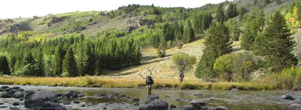 Beaver Trap Outfitters