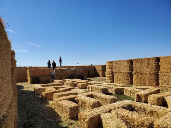 Beaverhead Maze and Pumpkin Patch, Dillon, MT