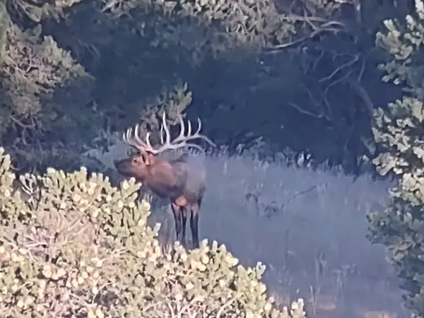 Beaverhead Ranch & Outfitters