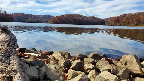 Beech Fork Lake Marina