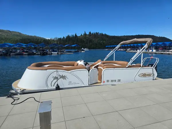 Beeracuda Boat Rentals