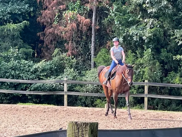 Belfair Farms Riding Academy