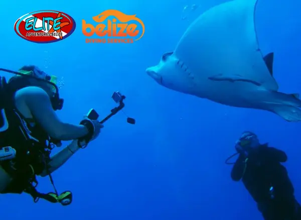 Belize Diving Services