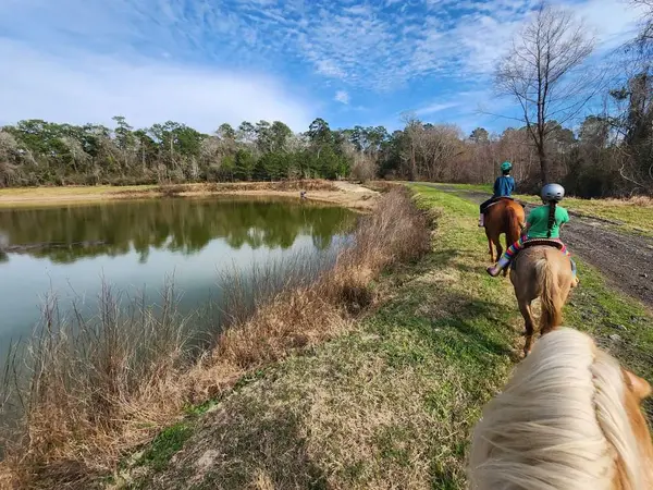 Bella Ranch Horseback Riding, photo 1