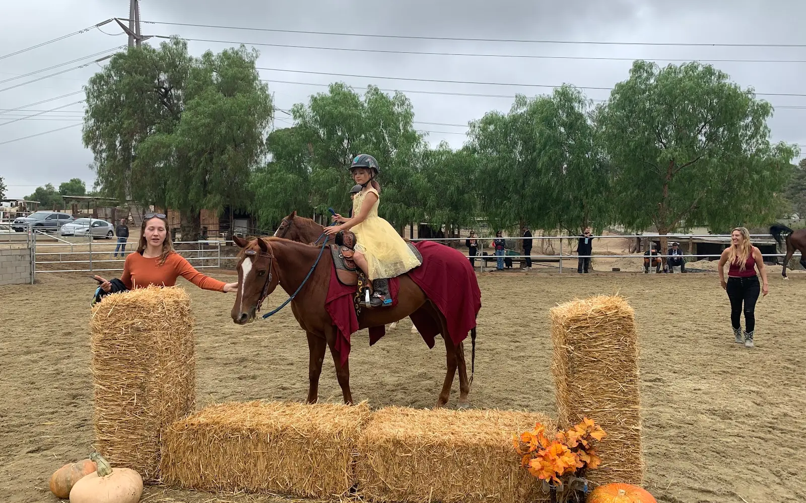 Bella Stables