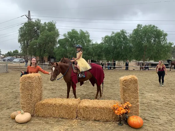 Bella Stables
