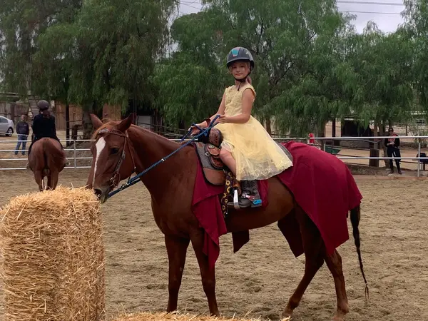 Bella Stables, photo 3