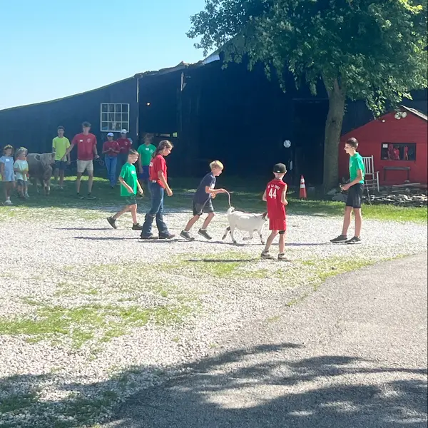 Benton Family Farm, Walton, KY