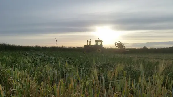 Berg Family Farm, Starkweather, ND