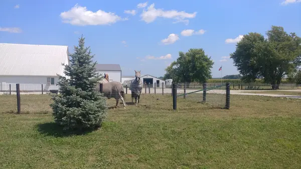 Bergman Riding Academy