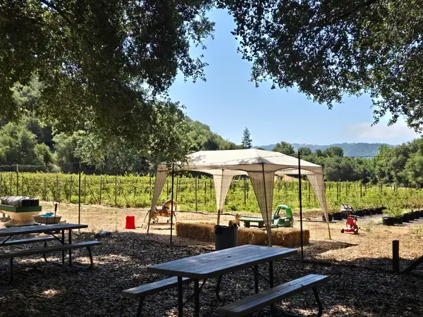 Berry Island Farms, Gilroy, CA