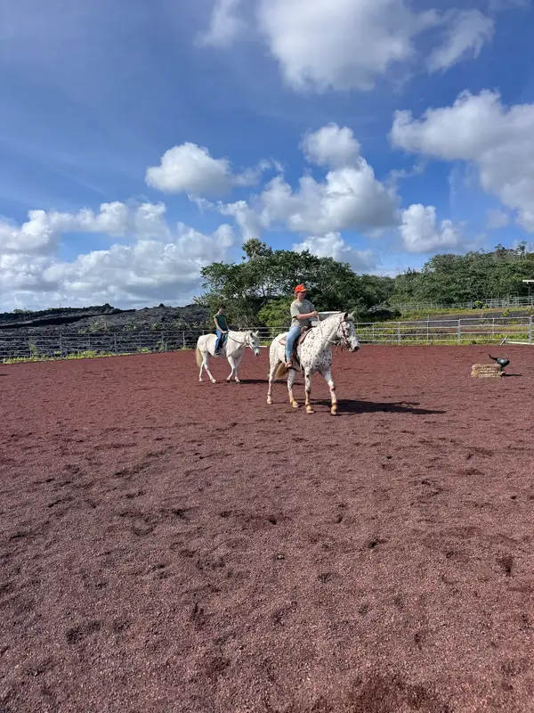 Beyond the Gaits Riding School